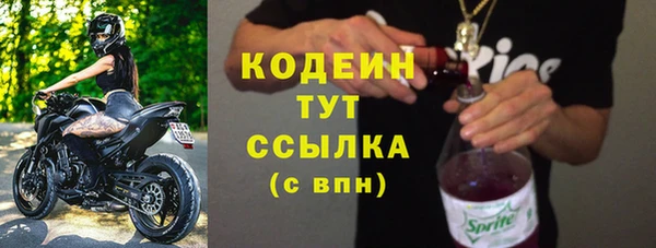 ПСИЛОЦИБИНОВЫЕ ГРИБЫ Горно-Алтайск