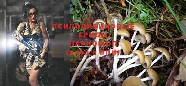 спайс Балабаново