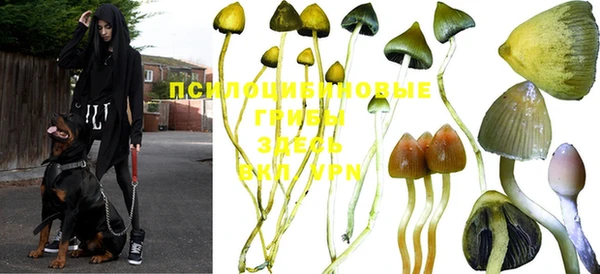 мескалин Балахна