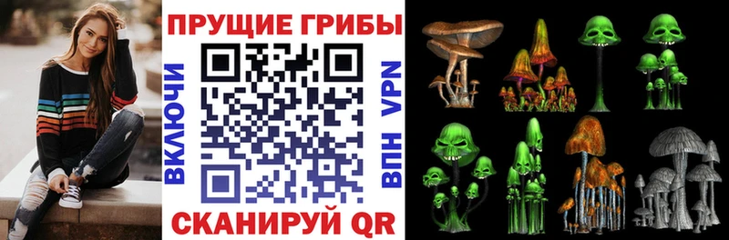 Галлюциногенные грибы мухоморы  MEGA зеркало  Гремячинск 
